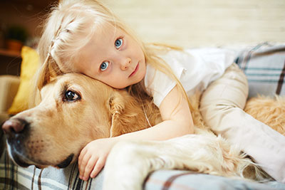 pet stains and odor removal lone star carpet care
