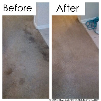 spot and stain removal tips lone star carpet care