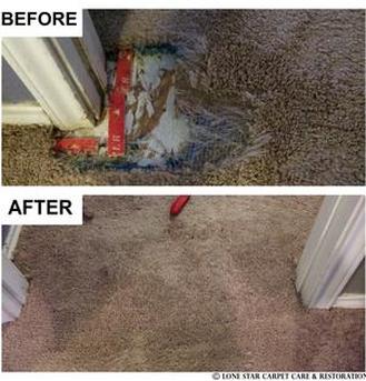 pet damage carpet repair lone star carpet care